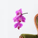 Orchid Wall Decal