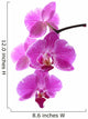 Orchid Wall Decal