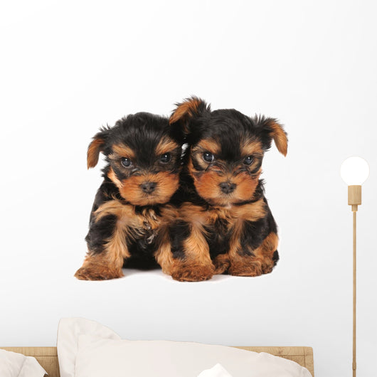 Two adarable puppies Wall Decal