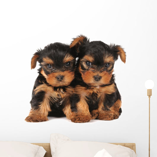 Two adarable puppies Wall Decal