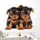 Two adarable puppies Wall Decal