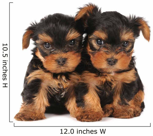 Two adarable puppies Wall Decal