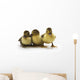 Ducklings Wall Decal