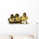Ducklings Wall Decal