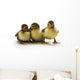 Ducklings Wall Decal