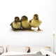 Ducklings Wall Decal