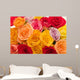 roses Wall Mural