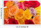 roses Wall Mural