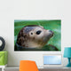 Harbor Seal Wall Mural