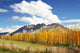 Mountain Autumn Wall Decal