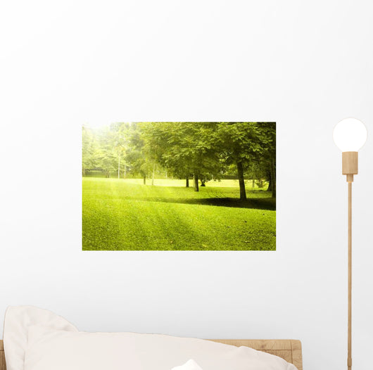 Green Field Landscape with Wall Decal