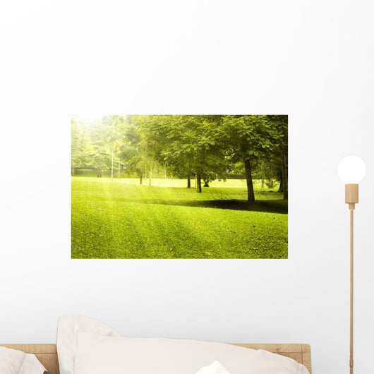 Green Field Landscape with Wall Decal