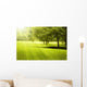 Green Field Landscape with Wall Decal