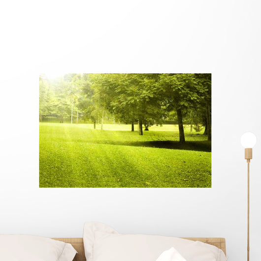 Green Field Landscape with Wall Decal