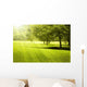 Green Field Landscape with Wall Decal