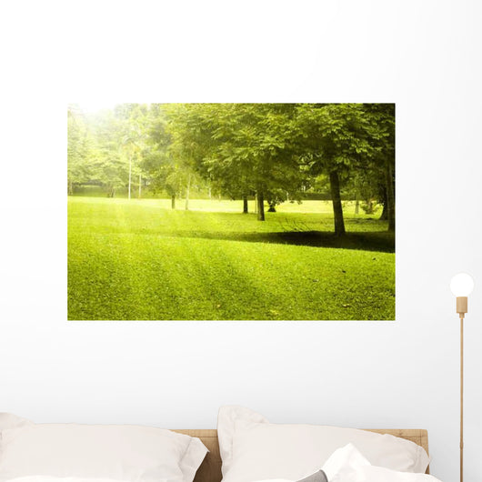 Green Field Landscape with Wall Decal