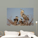 Great Blue Heron With Babies Wall Mural