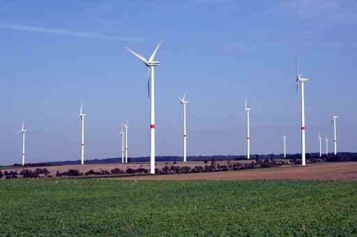 Wind Park 2 Wall Decal
