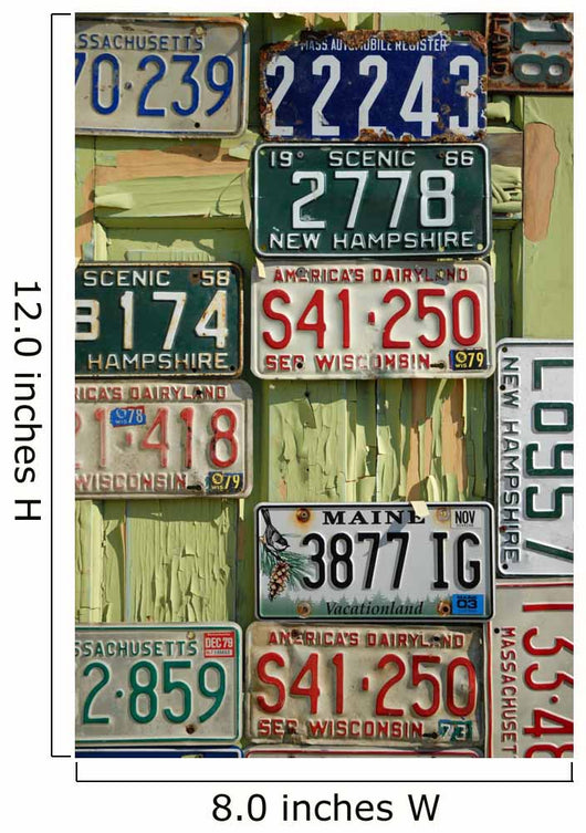 antique license plates Wall Mural