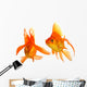 Goldfish Wall Mural