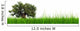 3D Green Grass with Wall Decal