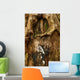 Old Tree Bark Wall Mural