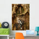 Old Tree Bark Wall Mural
