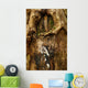 Old Tree Bark Wall Mural