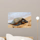 Green Sea Turtle 7 Wall Decal