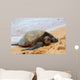 Green Sea Turtle 7 Wall Decal