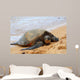 Green Sea Turtle 7 Wall Decal