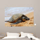 Green Sea Turtle 7 Wall Decal
