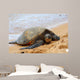 Green Sea Turtle 7 Wall Decal