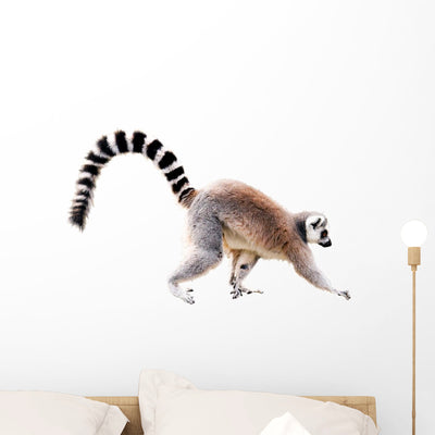 Walking Lemur Wall Decal shown on a wall