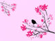 Petit oiseau noir sur branche de cerisier rose et noir sur fond Wall Mural