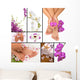 Spa Wall Mural