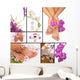 Spa Wall Mural