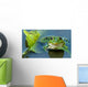 Frog Wall Mural