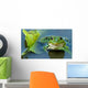 Frog Wall Mural