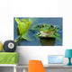 Frog Wall Mural