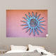 Mexican ornament of sun disc on the wall Wall Mural
