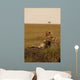 Mother Cheetah and Cub Wall Mural
