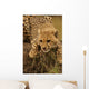 Cheetah Cub Likking Wall Mural
