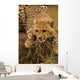 Cheetah Cub Likking Wall Mural