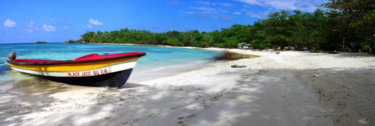 winnifred beach, jamaica Wall Mural