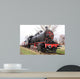 Train Wall Mural