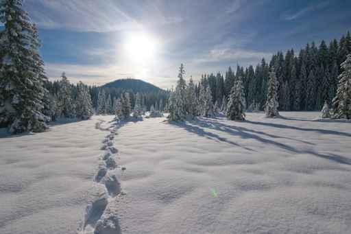 Footprints Fresh Snow Wall Decal