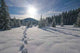 Footprints Fresh Snow Wall Decal