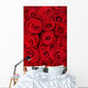 Red Roses Wall Mural