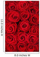 Red Roses Wall Mural
